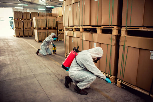 Best Local Pest Control Services  in Hyde Rk, PA