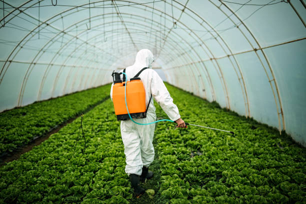 Reliable Hyde Park, PA Pest Control Solutions