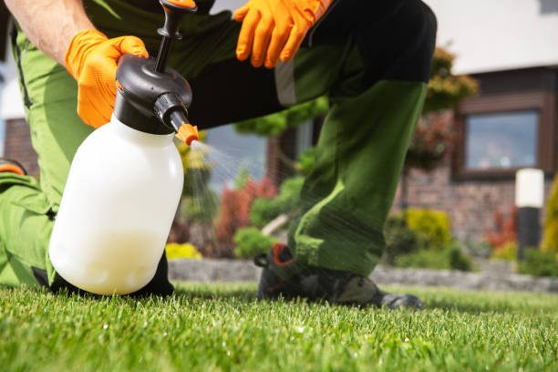 Pest Prevention Services in Hyde Park, PA