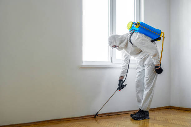 Best Mosquito Control Services  in Hyde Rk, PA