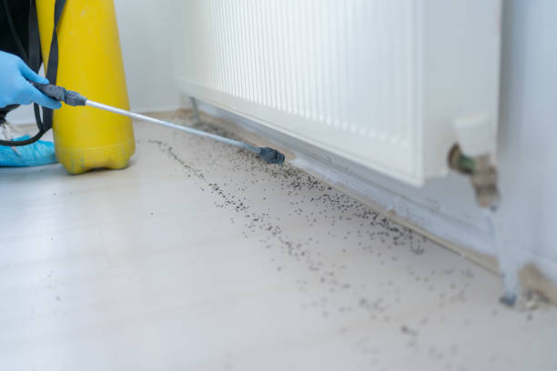 Best Commercial Pest Control Services  in Hyde Rk, PA